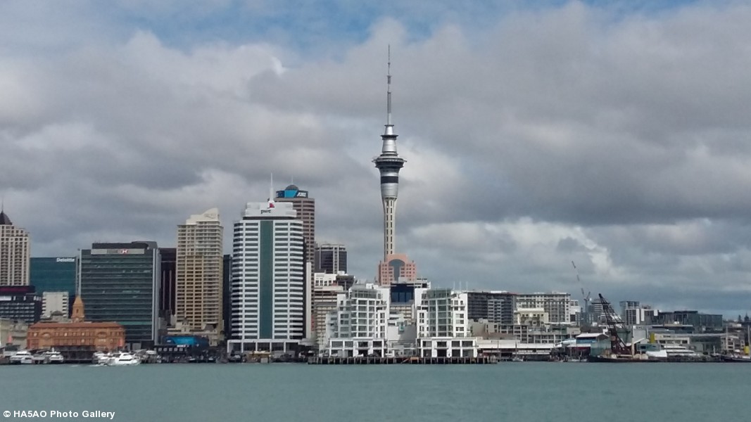 Auckland from the Marina
